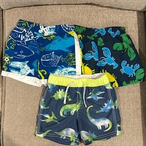 Baby Boy Bathing Suit Bundle